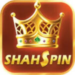 Shah spin game