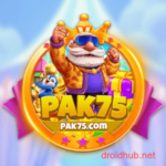 PAK75 Game