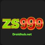 ZS999 game
